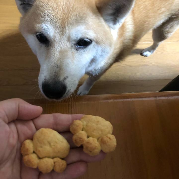 Ed329d0f 5500 4bdd aaa1 41b624dc7228 1562222821416