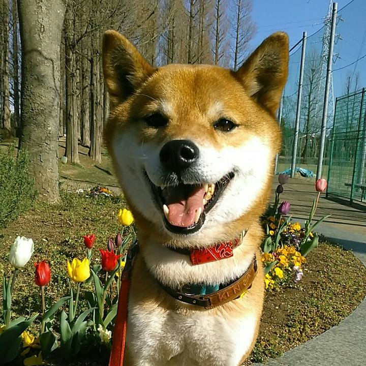 Ed32a679 8d5f 4914 8f60 e7ab72469911 1554802309681