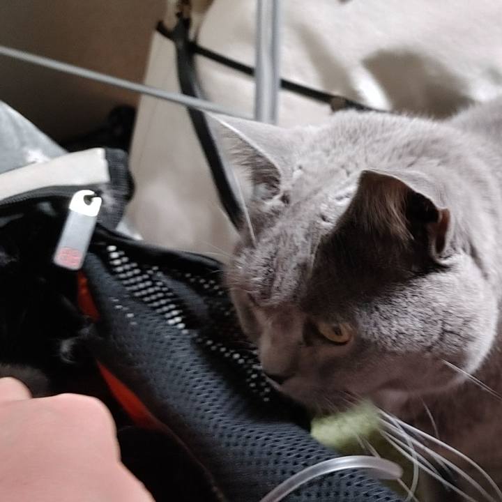 Ed32b513 089b 49a5 87fd aad46f63051e 1642249844075