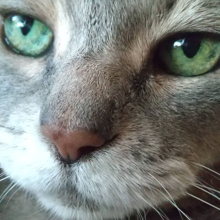 Ed32d333 6703 4dd6 adc2 9f29937e42c5 1690582515016