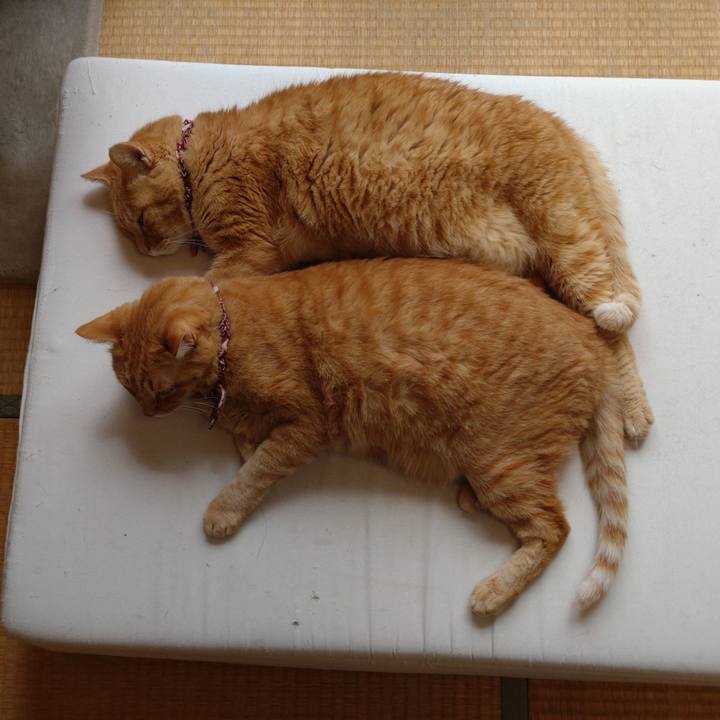 Ed32e29d 74fc 4afa a5bc e40799daf31b 1632565845570