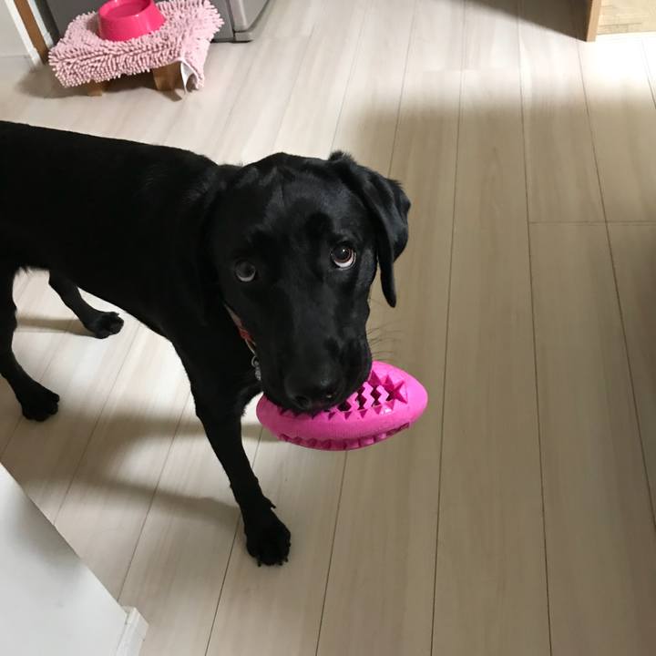 Ed32eb52 046f 402f b2be e154c7977cf5 1532001558303