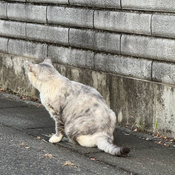 Ed330442 6967 4cd9 ba08 4fbcad181177 1758853788093