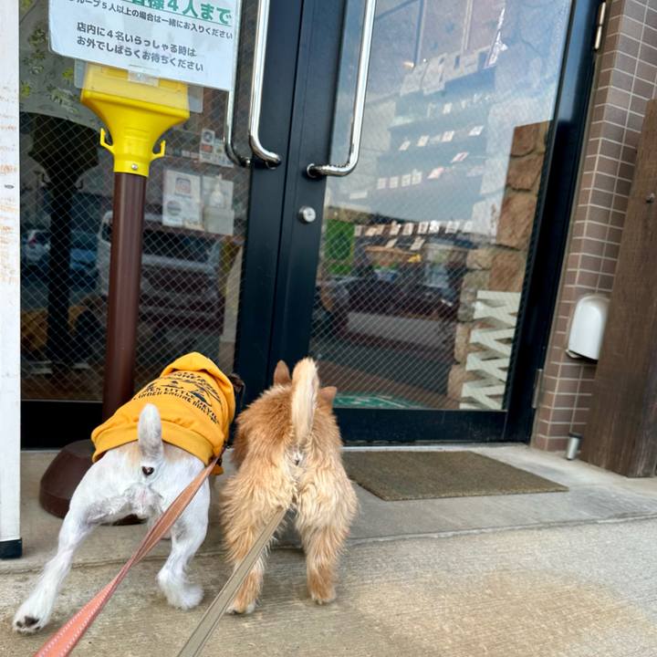 Ed3328f3 b359 43ee 8e57 e705365f4da0 1713023963547