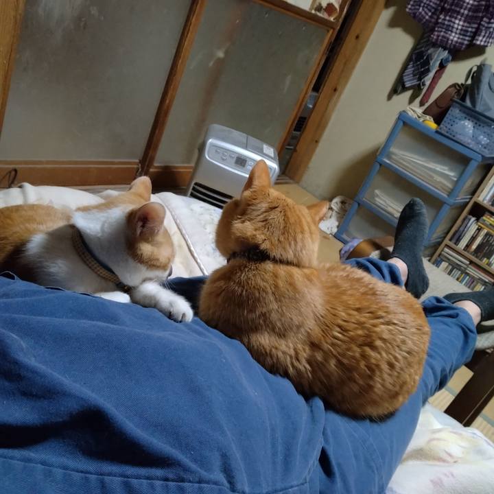 Ed33308c 8609 481a b74c 3c634b7d10b2 1735634330235