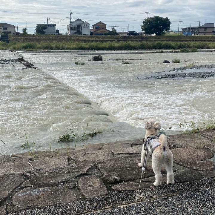 Ed333271 b56a 41af a43c c75e530b970d 1664070985242