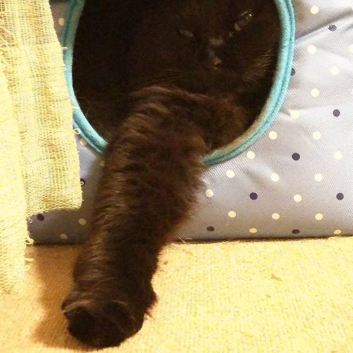 Ed333879 cb95 406e 9cc0 43170f40a6d6 1522158932259