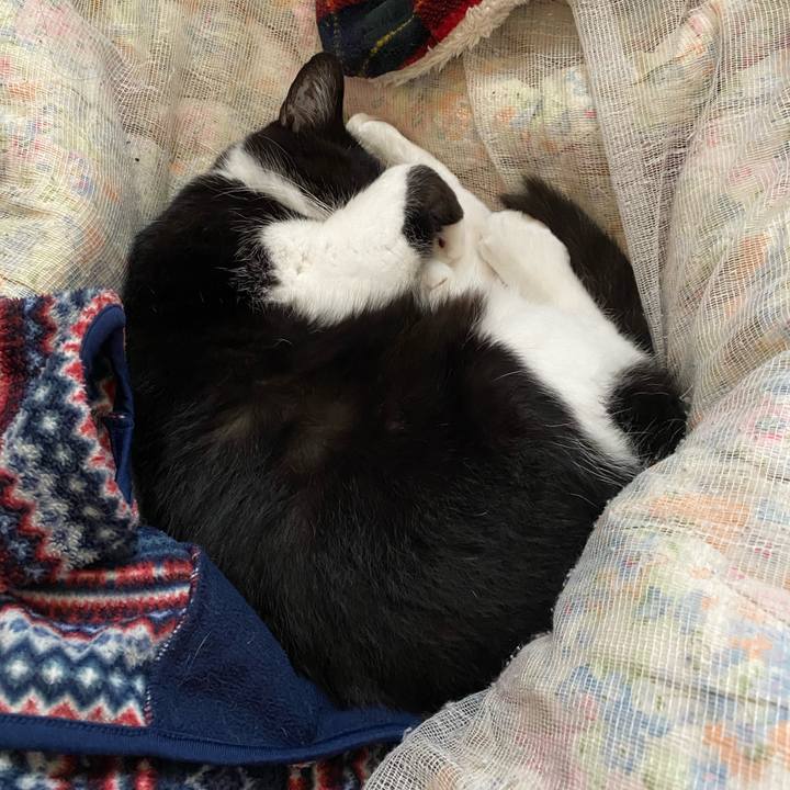 Ed33445f ffc4 45c2 a1ff 4b9870420529 1616739227378