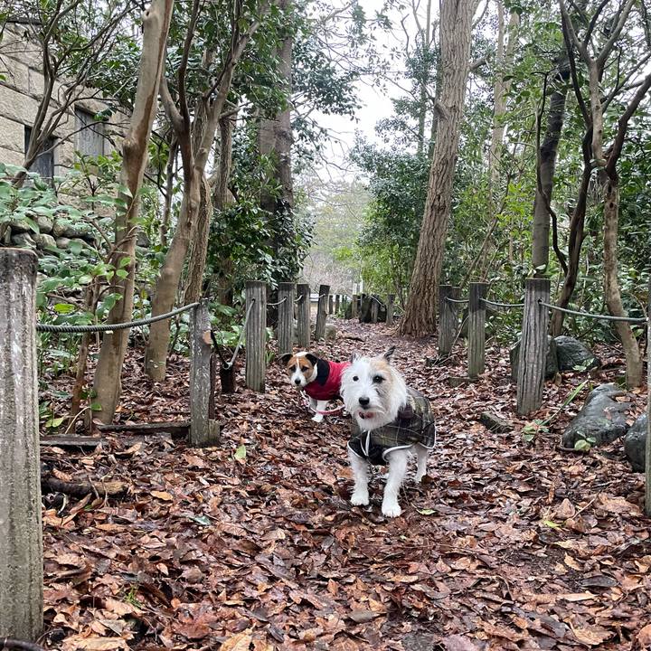 Ed334694 2005 4da8 b2f1 67b771e22fb6 1738623155321