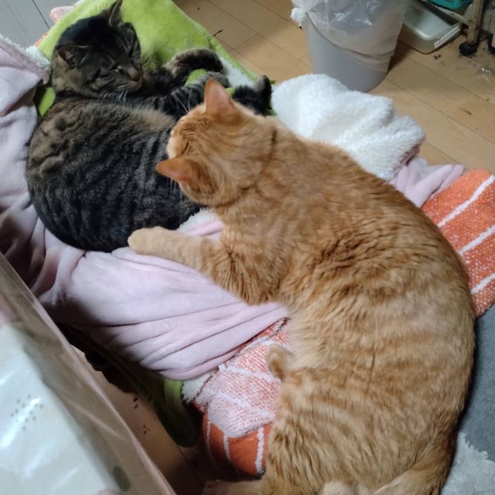 Ed338d13 3588 4066 922a 80c295d20bf4 1677194615172