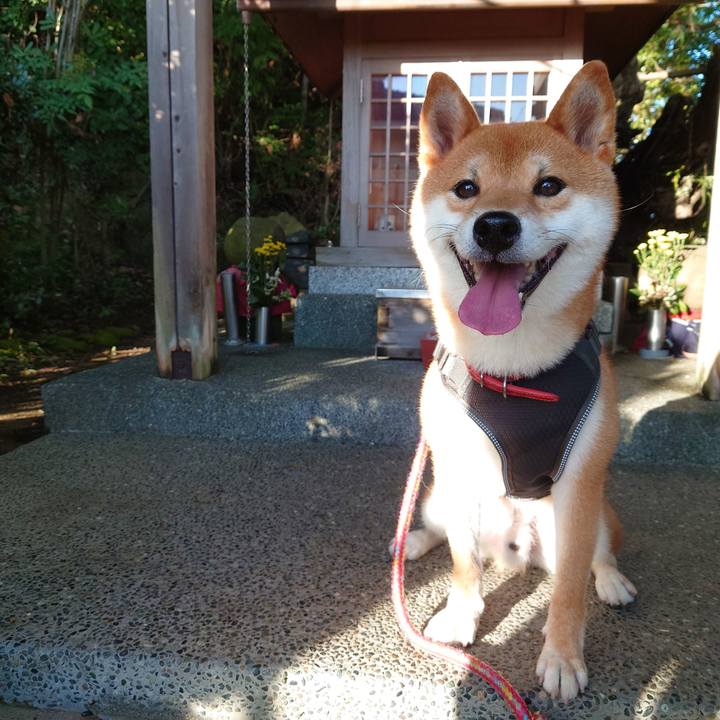 Ed33933c ac12 4d7c a49d cad86853d7f3 1757127707762