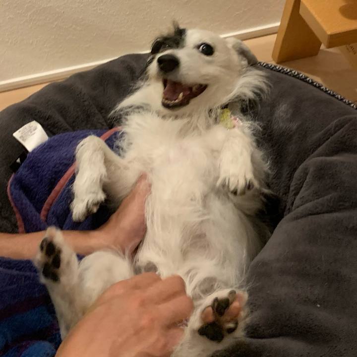 Ed33a242 4f00 4bba a7bc 7f2c2c1f4f96 1651148445067