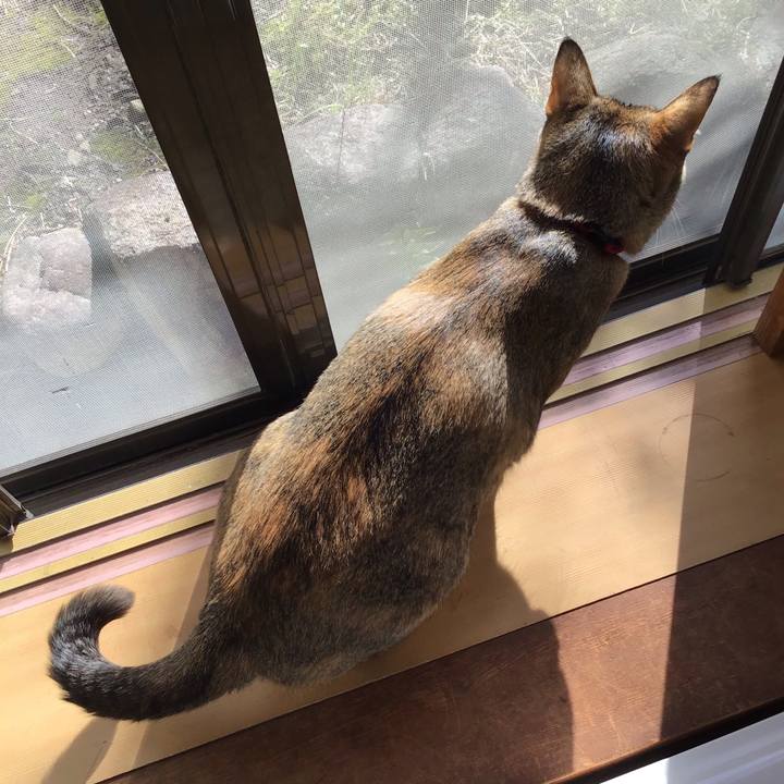 Ed33bb75 5b8a 443e b9d9 da41ef47dbfc 1584232026802