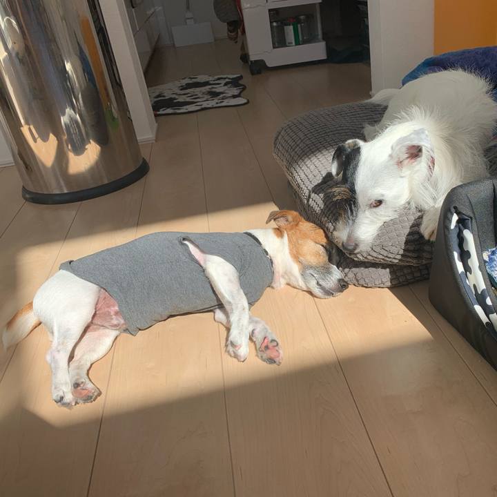 Ed33fa11 384d 4ba1 9019 a692e9b8a45b 1571797512471