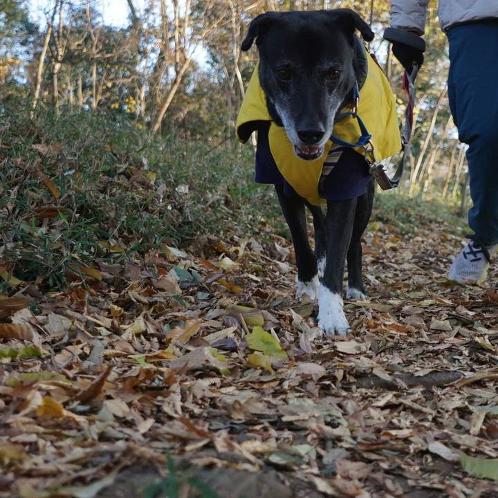 Ed33fa40 7b8b 460c 90d9 f020f412a5df 1765589339172