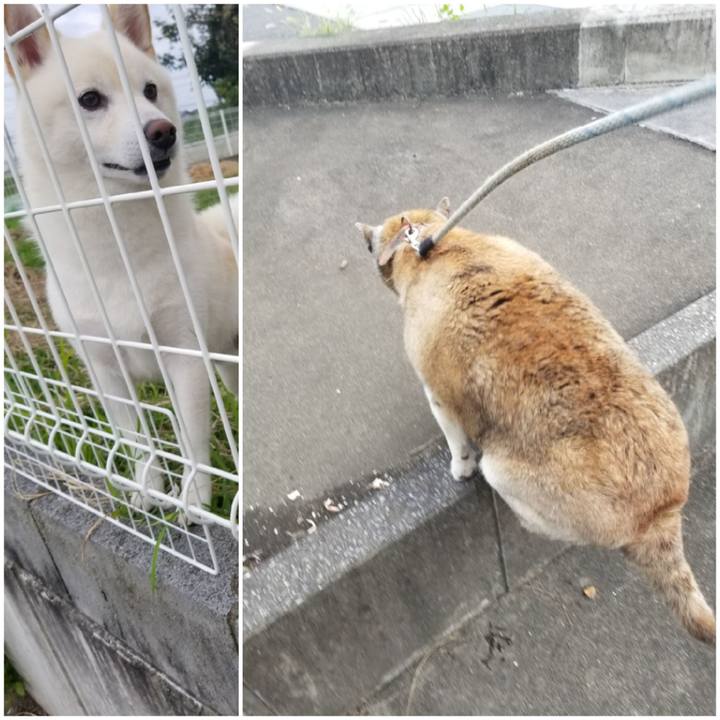 Ed342b0d 8a17 4c7f b8f8 4972e87655b0 1727478750406