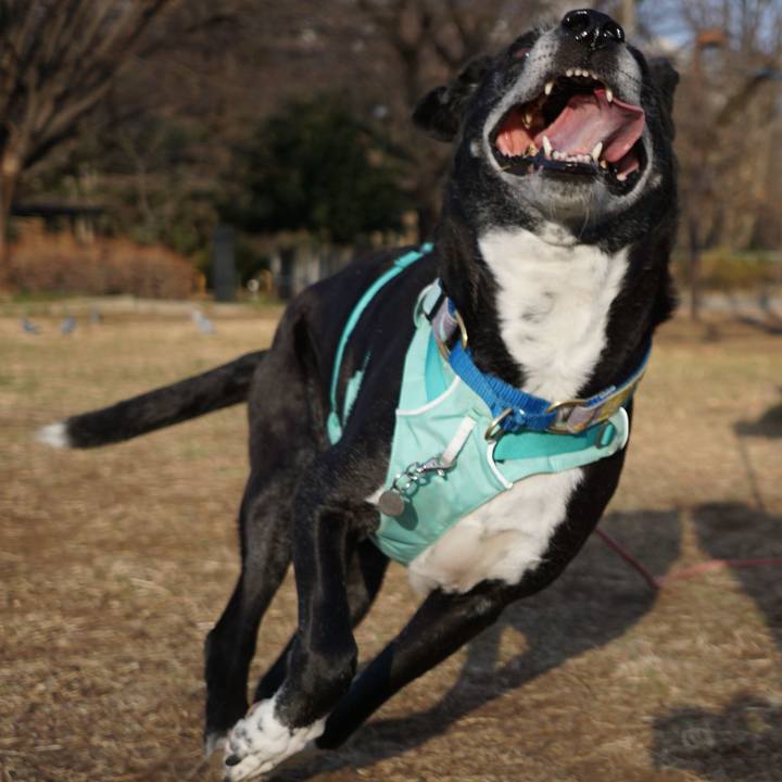 Ed3436a8 cc47 462c b3c5 15bf837c2a9f 1771807323339