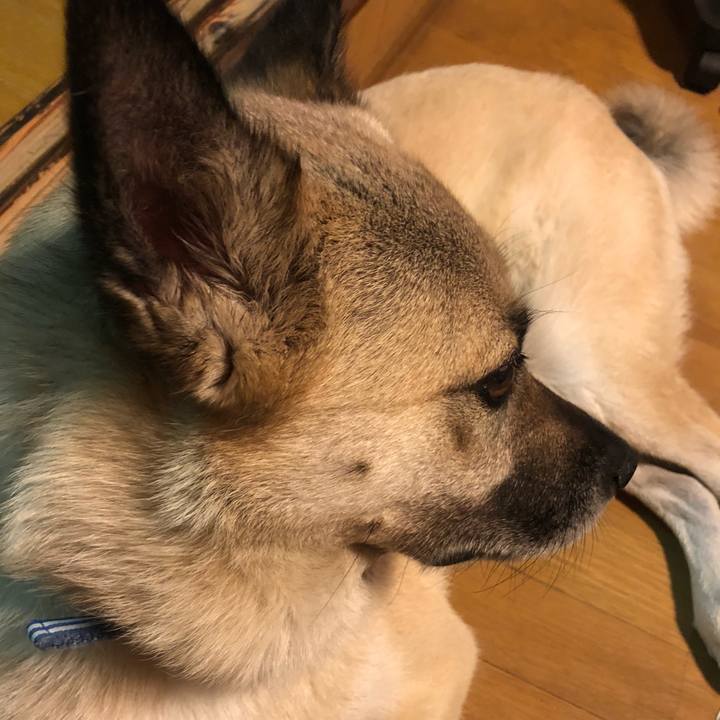 Ed344a71 44c3 47bb 8b1b 3d1f3e4bd4b1 1628255675477