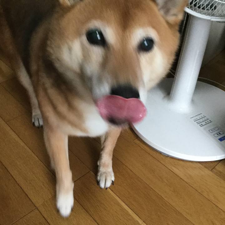 Ed3490ac 0427 4166 8a55 93d6f851892e 1564572819869