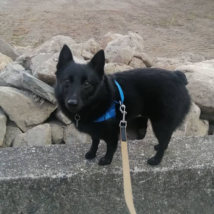 Ed34a162 7495 4c6f b7e4 d793f62437bb 1634246042013