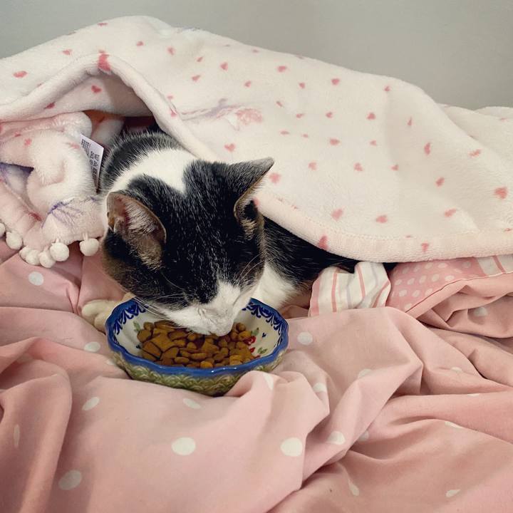 Ed34abc0 0210 4797 b727 025713662089 1603003184581