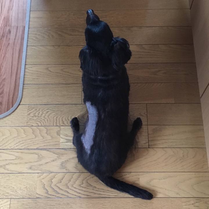 Ed34bf81 330c 43c1 9cca 044918ceb98a 1544832650587