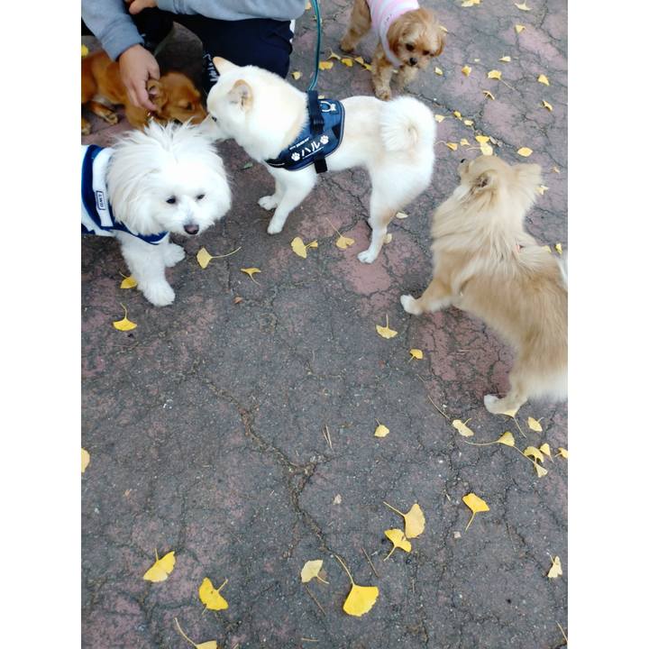 Ed34c589 5c11 4afd 84a8 88ef0ecc24ae 1733645570203