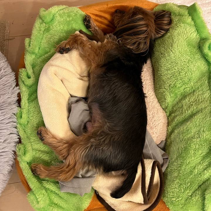 Ed34c798 e3df 4330 81bb 08f0ff9fc888 1688102505787