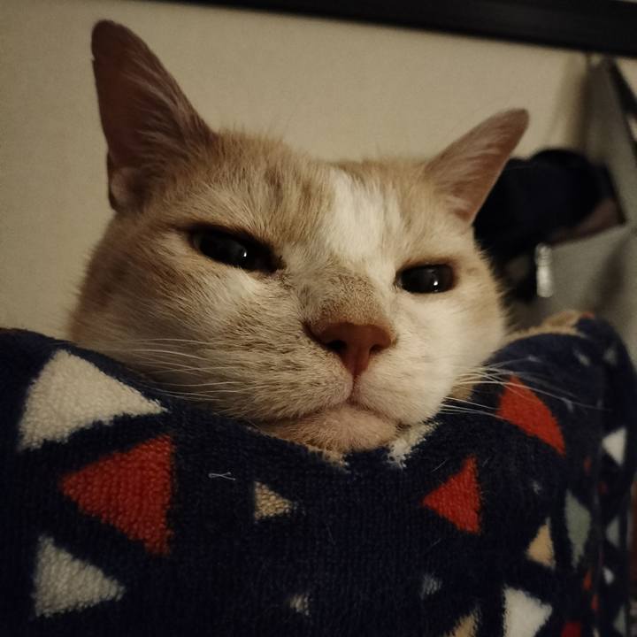 Ed34c9c7 b6c1 45b3 810d 410f60a172a3 1652791839908