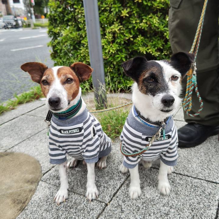 Ed34e081 49c6 4422 b0f0 e2387ce9ef4c 1725313458293