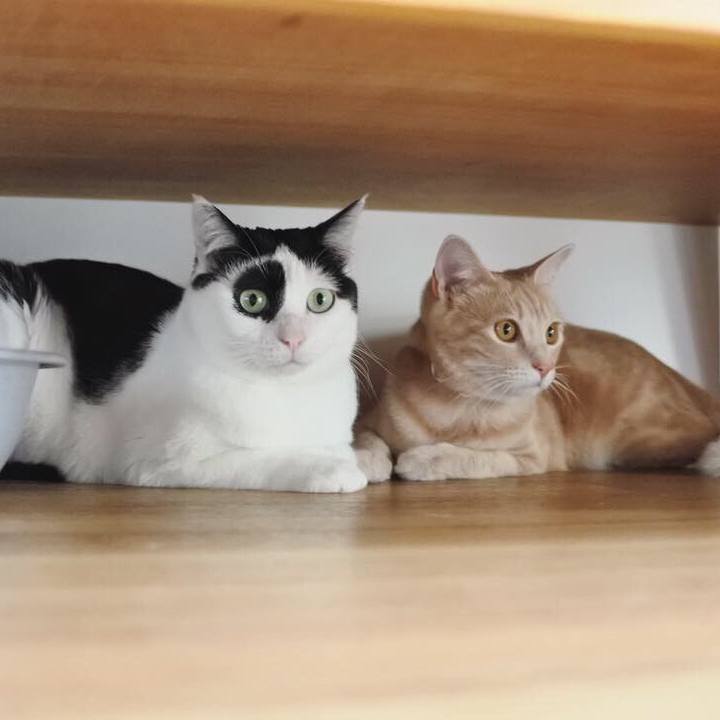 Ed350501 9a3d 46ff a4d0 f1a654473025 1556799909787