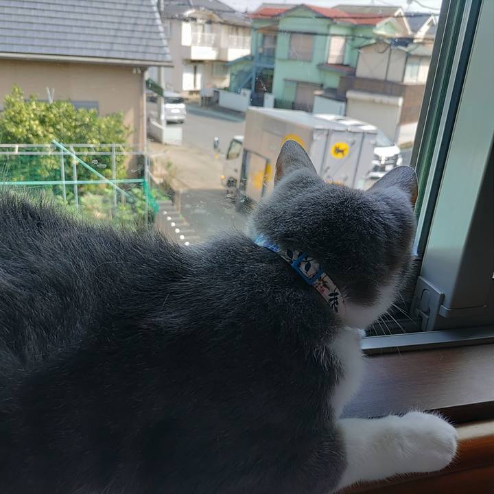 Ed3505be c8a3 4f42 9ca7 2227d83b6b0d 1692496444940