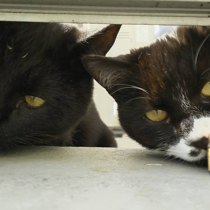 Ed353f86 ad86 4a05 9f11 cd78a8037104 1553061071907