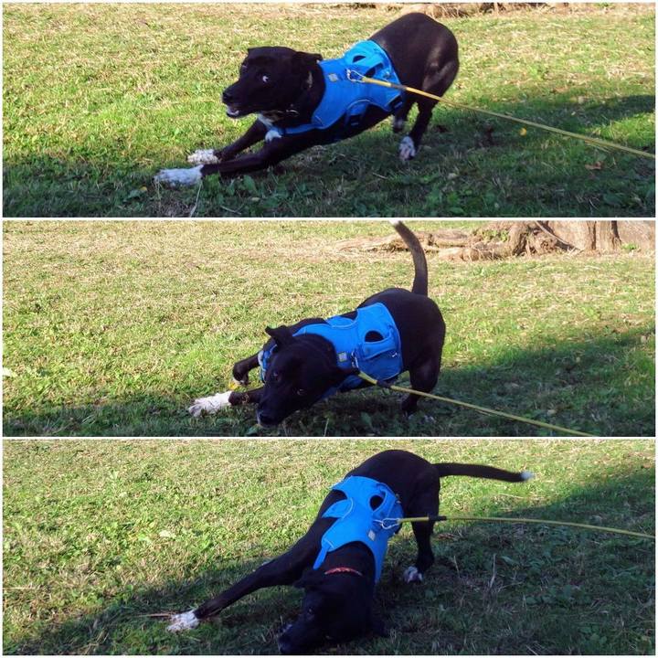 Ed3599d0 4575 4ced 9bc9 5ea2a61f1588 1604448062487