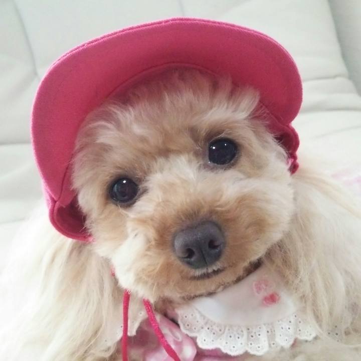 Ed35a6e0 4d1f 4341 a594 a35eb59b7544 1527592947830