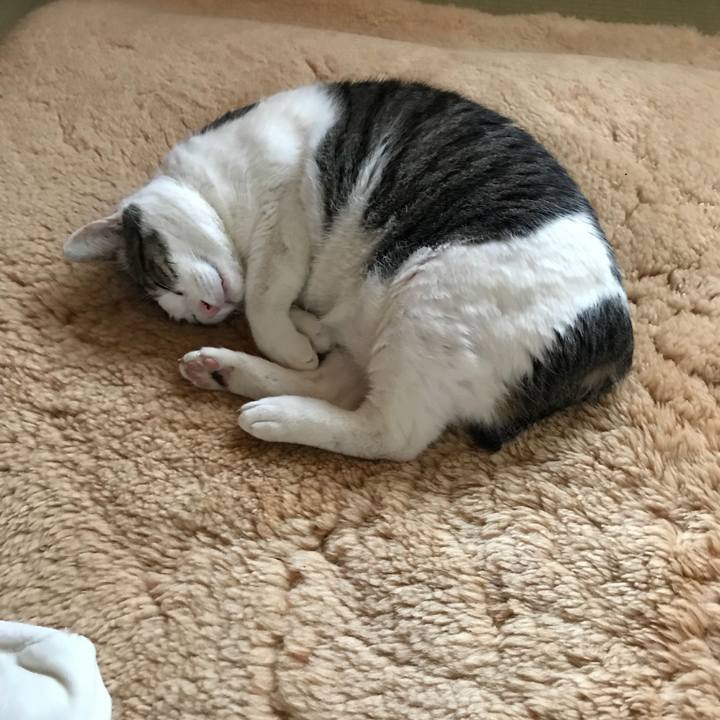 Ed35deb7 56dd 4012 ac2b e338ef5d7719 1526781600136