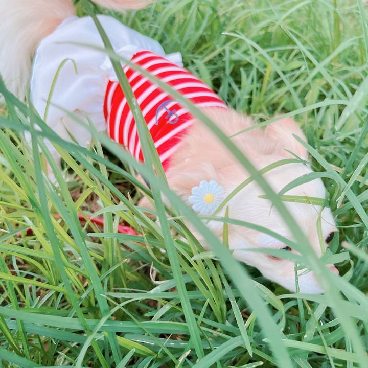 Ed361092 9573 4040 b5ed 04fb8d3d4d37 1659957498375