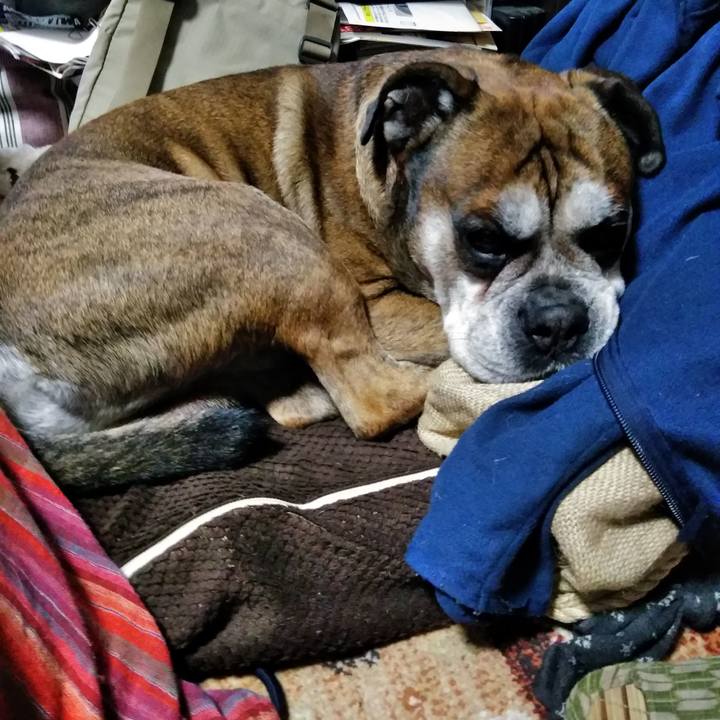 Ed362f5f 9f7b 4ee6 a57f 6087ecd7b783 1522073466089