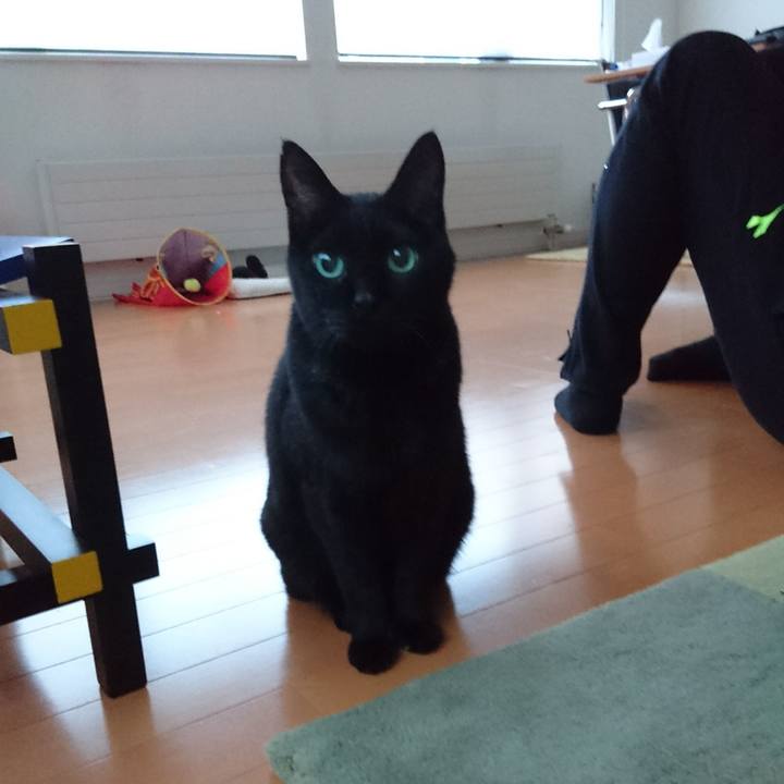 Ed366a30 0327 48f7 af86 4513c234f779 1537609675879