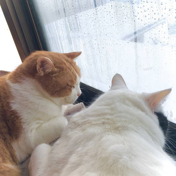 Ed366a95 695e 49b7 98f4 3fef4c8c39a1 1609406821085