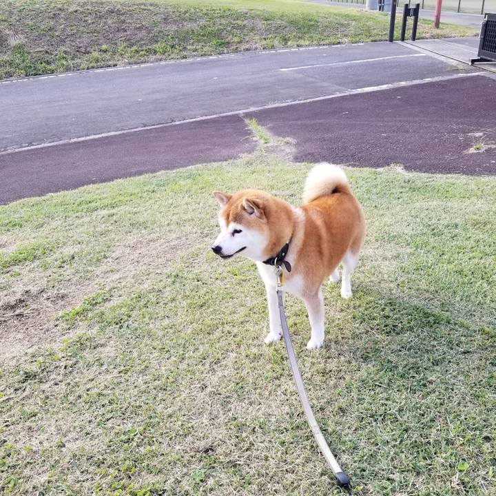 Ed3690cf 475e 4ff0 8348 77146cf9f4e3 1634624827654