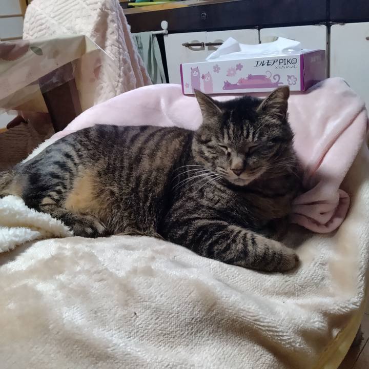 Ed369eb9 186f 4960 b538 d8389ac5e1c9 1677626875690