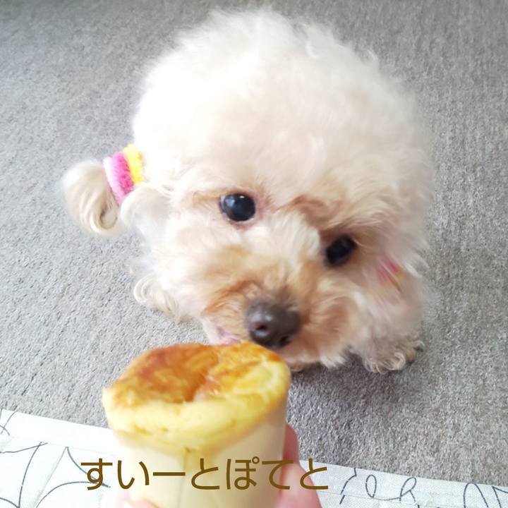 Ed36c69b 3f7c 411e bba6 2f25a2f03754 1570188317659