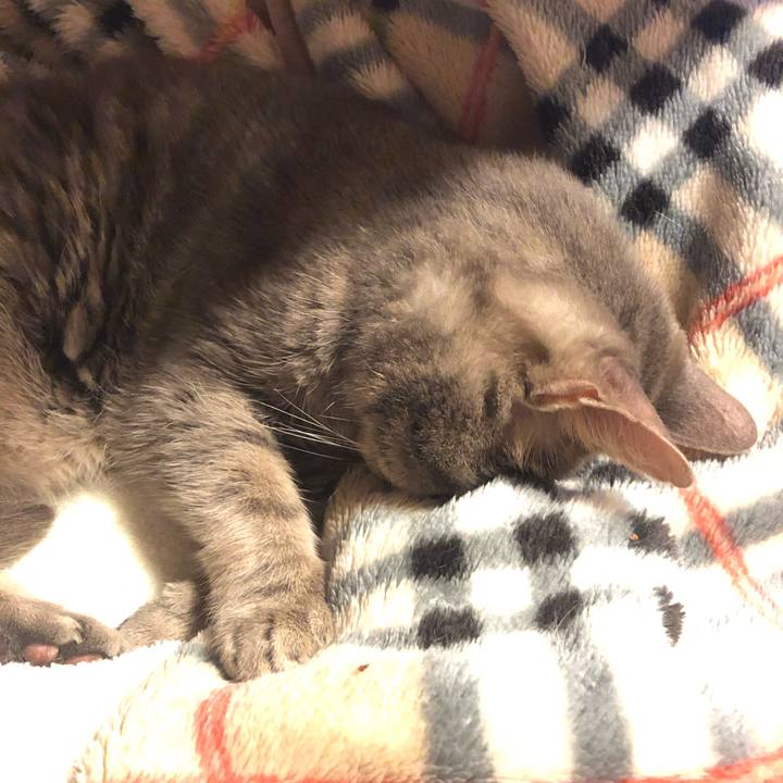 Ed3720ed ced3 4580 973e acd241a98085 1560774085400