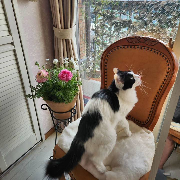 Ed37281d 8853 4c19 9d46 7c6ff419fbe8 1706092364025