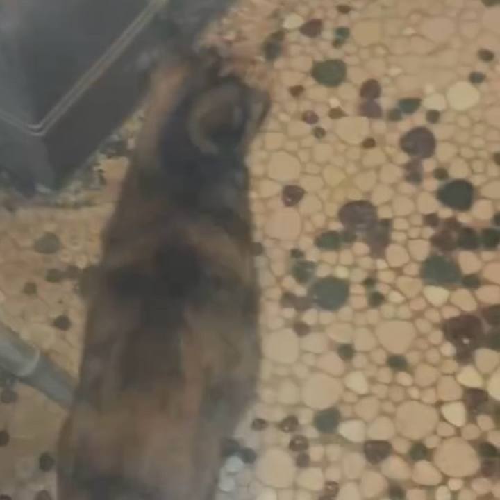 Ed375031 dc36 4c03 897a bc141e1cf72f 1764015993774