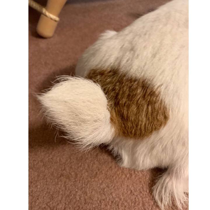 Ed378245 efd8 4320 ba52 d9fa27e46f4e 1599991501525