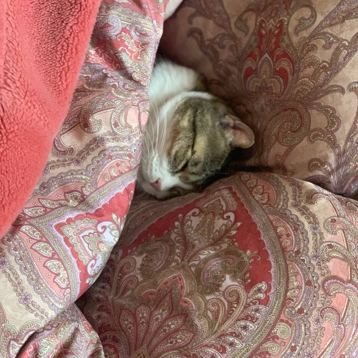 Ed37acb1 0d7d 4f26 b5b7 a6be58c76220 1698624667642