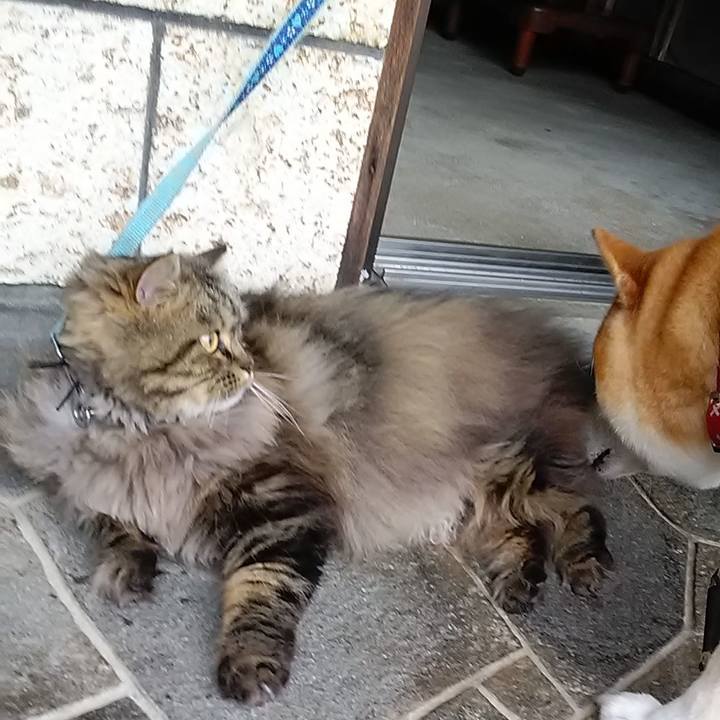 Ed37bc6a 3544 4e80 a624 8cadd7fa0896 1625105198867