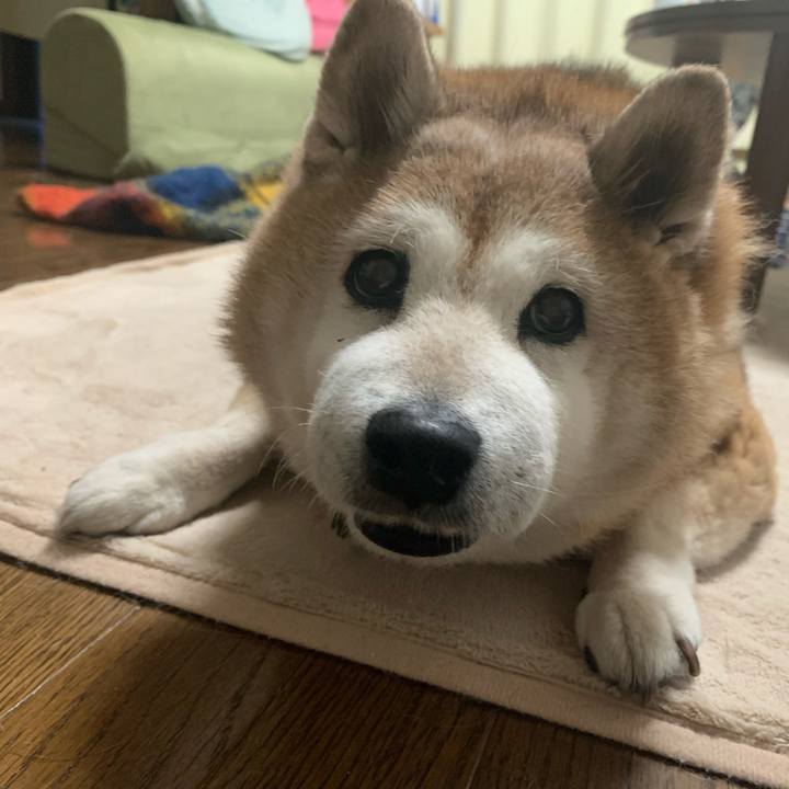 Ed37c07e 65cd 4a32 8430 246cc6be029c 1617276453761